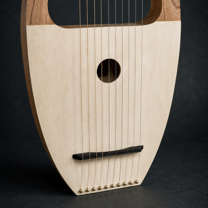 Angled close-up of the soundboard, sound hole, bridge, and strings on David’s Harp