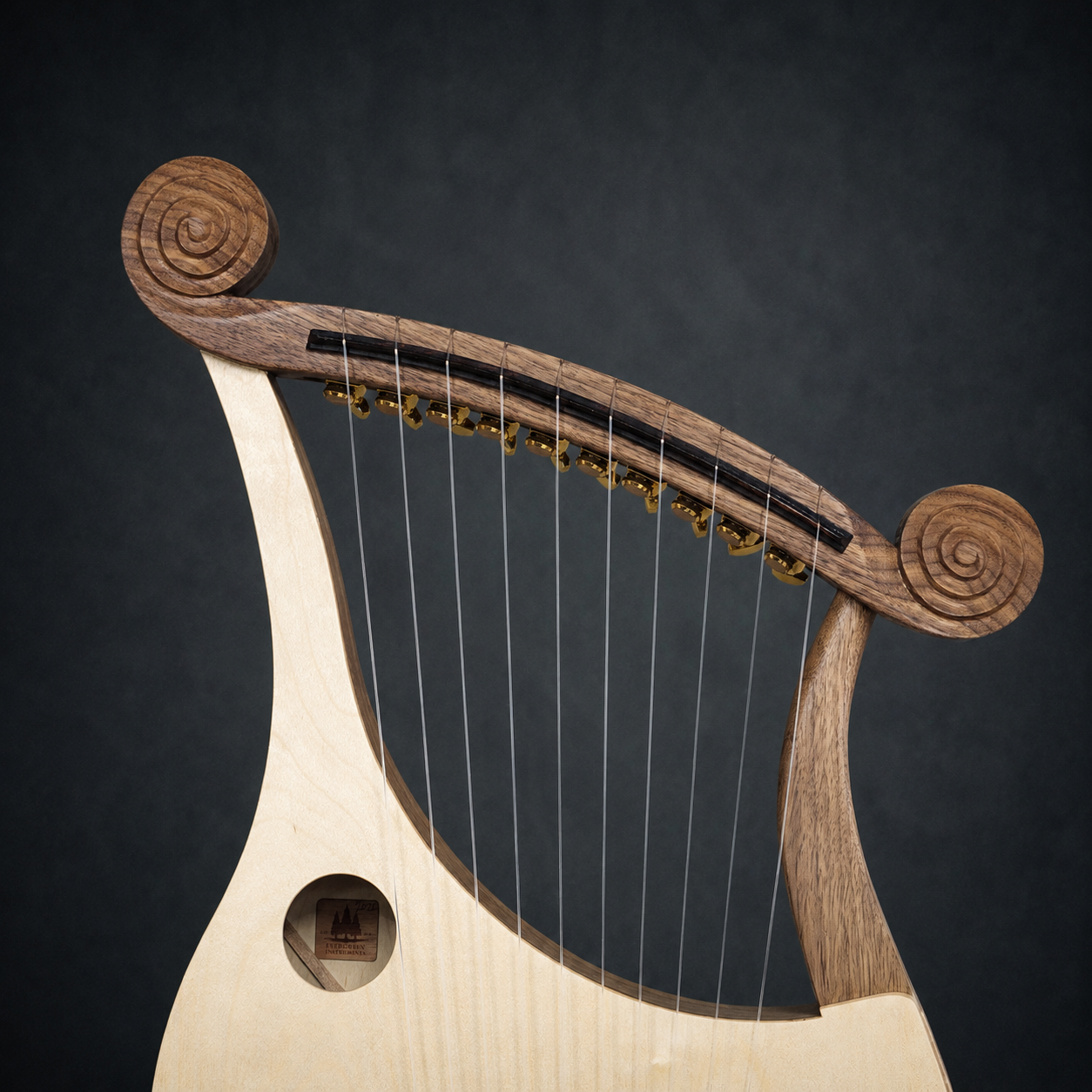 Upper frame and 10-string arrangement of the handmade Harp of David