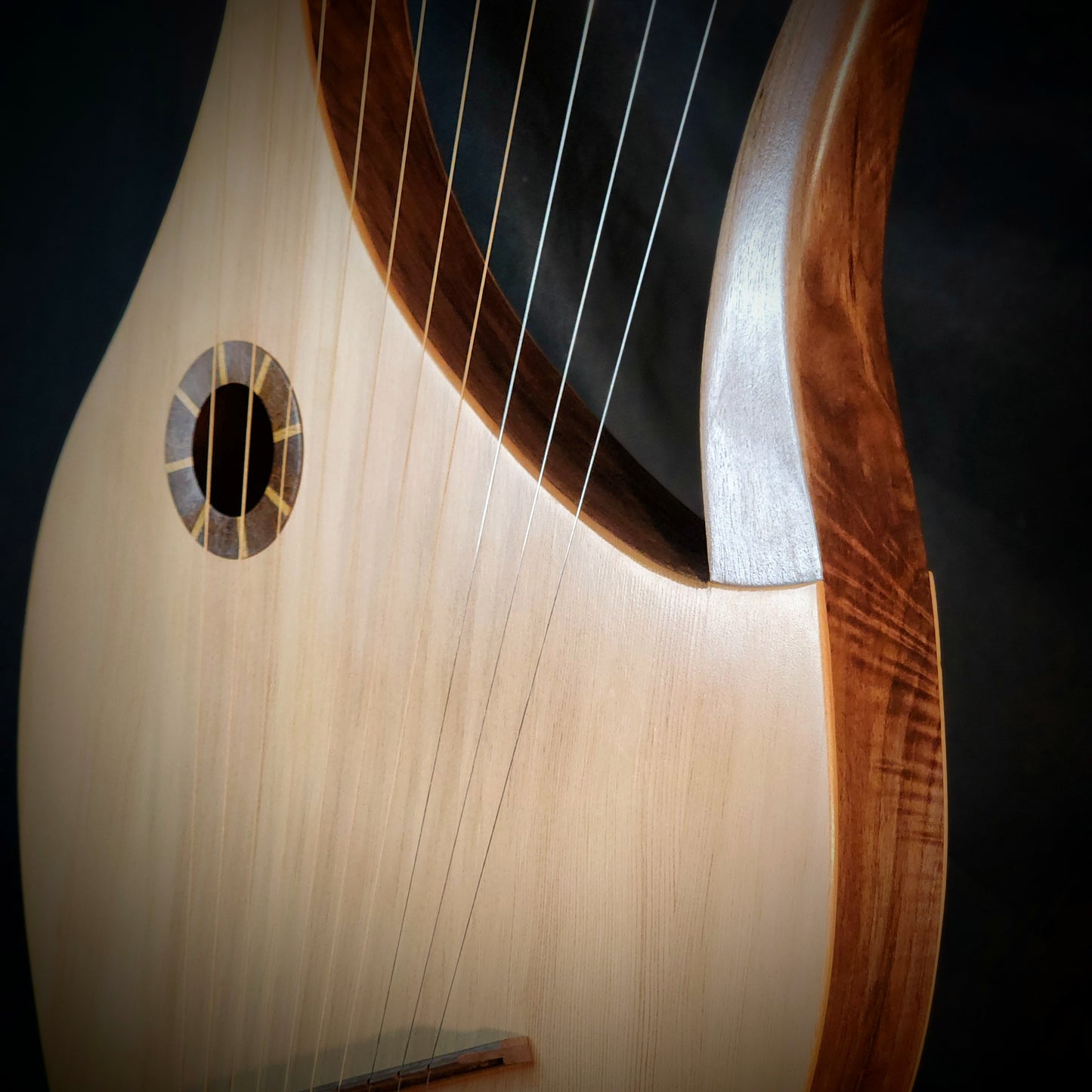 Harp of David side view 