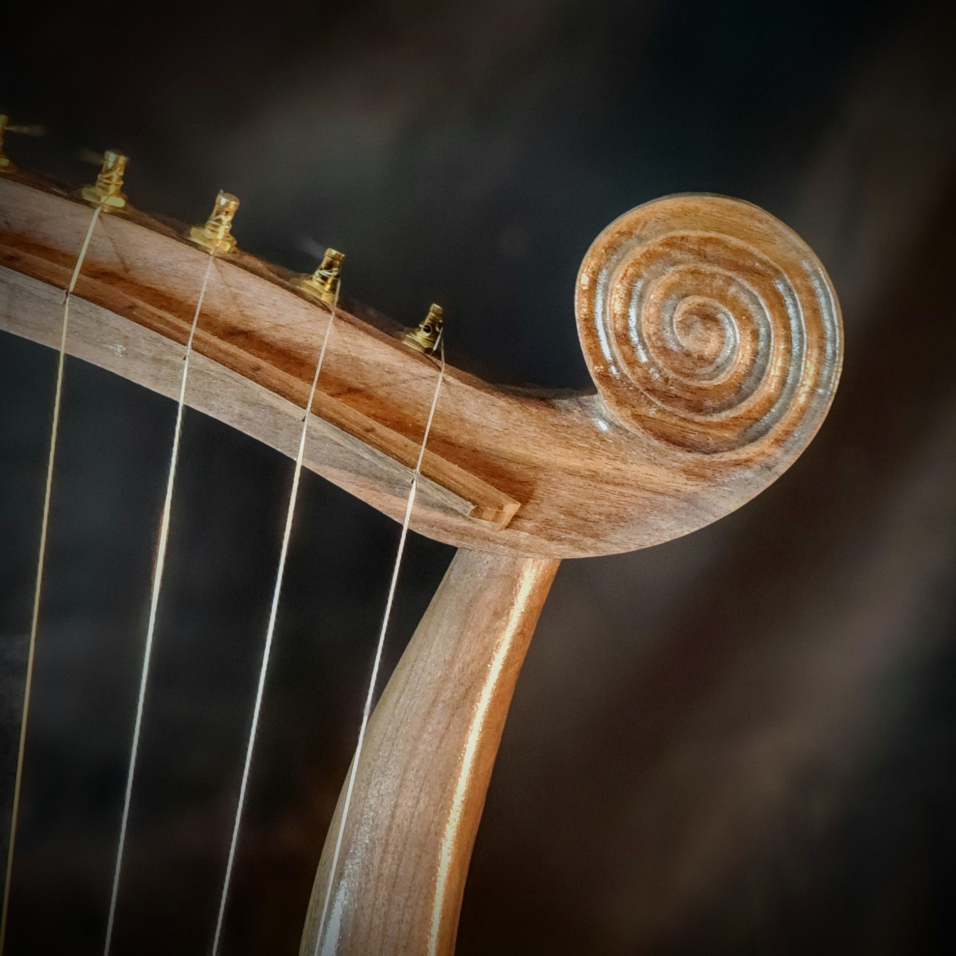 Harp of David Hebrew scrolls